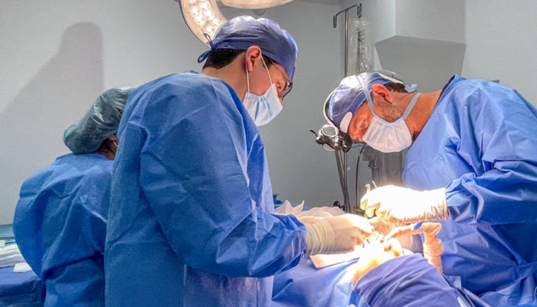 Imagen de un médico revisando un historial